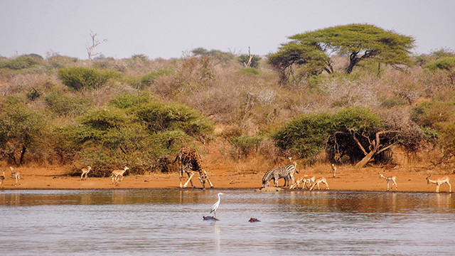 image África-1