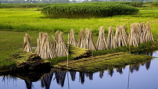 image Bangladesh-2