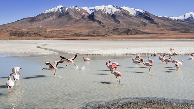 image Bolivia-2