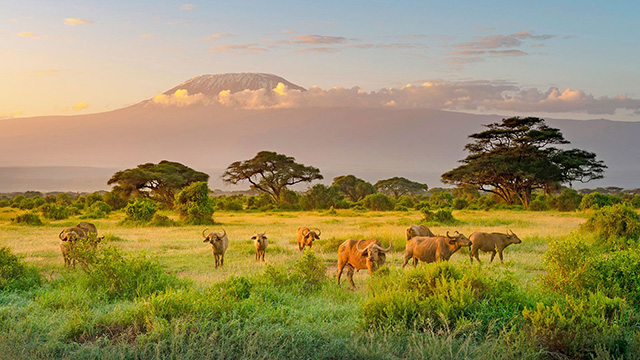 image Kenya-1