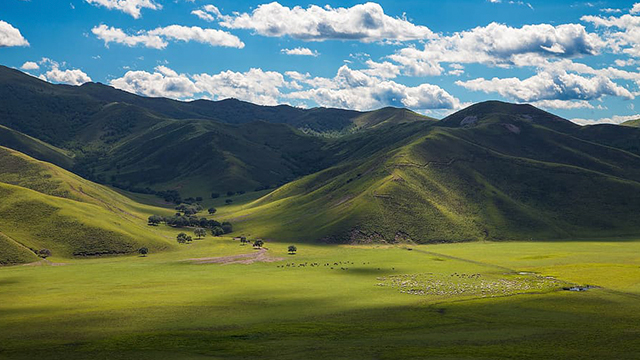 image Mongolia-3