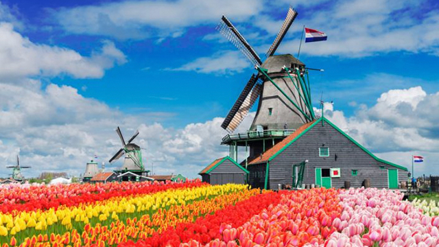 image Holanda-3