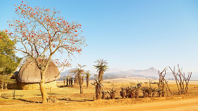 image Eswatini-1
