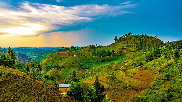image Uganda-1